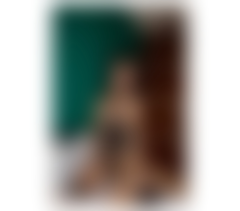 Trans Escorts West Midlands Dudley - Photos for Charissa Thai TS πΉππΉπππ
